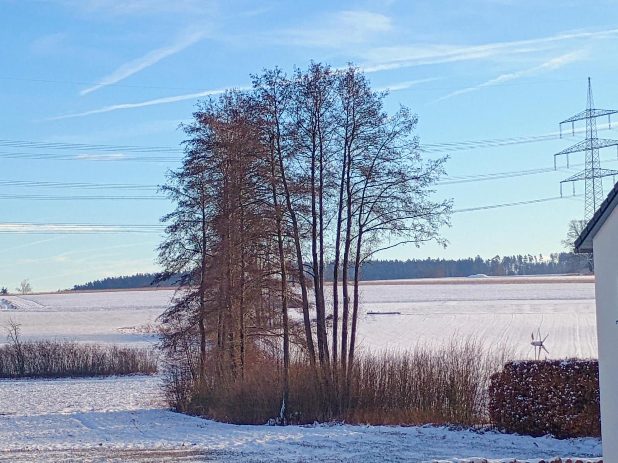 Monteurzimmer Beate Ackermann Hochstadt am Main エクステリア 写真
